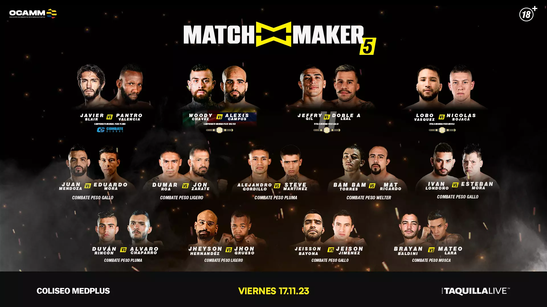 REPROGRAMACIÓN MATCHMAKER 5